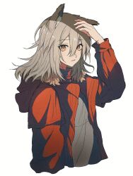 Rule 34 | 1girl, animal ears, arknights, breasts, grey shirt, hair between eyes, hand up, highres, jacket, long sleeves, looking at viewer, medium breasts, open clothes, open jacket, projekt red (arknights), red jacket, shirt, simple background, solo, white background, wolf ears, wolf girl, yellow eyes, youring wan