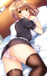 Rule 34 | 1girl, :o, apron, ass, back, bed, bed sheet, black dress, blush, breasts, brown eyes, brown hair, brown thighhighs, dress, frilled apron, frilled sleeves, frills, from behind, gatchapowa, indoors, looking at viewer, looking back, lying, maid, medium breasts, on bed, on stomach, open mouth, original, own hands together, panties, pantyshot, pillow, pink panties, print thighhighs, puffy short sleeves, puffy sleeves, short dress, short sleeves, solo, teeth, thighhighs, trefoil, underwear, upper teeth only, waist apron, white apron, wrist cuffs