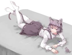 Rule 34 | 1girl, adapted costume, akagashi hagane, alternate costume, animal, animal ears, bad id, bad pixiv id, bed, grey hair, jewelry, long sleeves, looking at viewer, looking up, lying, mouse (animal), mouse ears, mouse tail, nazrin, necklace, on bed, on stomach, pantyhose, red eyes, shirt, short hair, simple background, skirt, solo, tail, the pose, touhou, white background, white pantyhose, white shirt