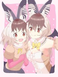 Rule 34 | 2girls, animal costume, animal ear fluff, animal ears, bennu cellist64, bow, bowtie, brown eyes, brown hair, brown long-eared bat (kemono friends), cardigan, closed mouth, elbow gloves, extra ears, gloves, grey hair, kemono friends, kemono friends 3, kemono friends v project, leotard, multicolored hair, multiple girls, open mouth, scarf, skirt, smile, virtual youtuber