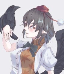 Rule 34 | 1girl, bird, bird on hand, bird wings, black bow, black bowtie, black hair, black wings, bow, bowtie, brown eyes, commentary request, crow, grey background, hat, highres, kanaria (bocmn), looking at viewer, open mouth, pointy ears, pom pom (clothes), red headwear, shameimaru aya, short hair, short sleeves, simple background, tokin hat, touhou, upper body, wings