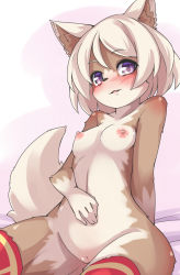 Rule 34 | 1girl, animal ears, arm behind back, blush, body fur, breasts, cleft of venus, dog ears, dog tail, female focus, furry, furry female, nipples, nude, purple eyes, pussy, red thighhighs, simple background, sitting, solo, tail, thighhighs, thighs, yuuki (yuyuki000)