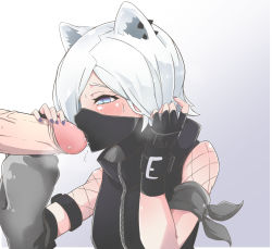 Rule 34 | 1boy, 1girl, animal ears, arknights, armband, black gloves, black jacket, black mask, blue eyes, blush, breasts, cat ears, detached sleeves, eyelashes, fellatio, fingerless gloves, fishnets, gloves, gradient background, grey background, hair over one eye, hand in own hair, highres, jacket, licking, licking penis, mask, medium breasts, nail polish, oral, penis, purple nails, shirayuki (arknights), short hair, silver hair, simple background, single sleeve, solo focus, sweat, tongue, tongue out, turtleneck, uncensored, upper body, weasel ears, wrist straps, xia wanzi, zipper