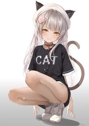 Rule 34 | 1girl, :3, absurdres, animal ears, bad id, bad twitter id, bandaid, bandaid on leg, bare legs, bell, beret, black shirt, breasts, cat ears, cat tail, collar, dampi, full body, grey hair, hair ornament, hat, highres, jingle bell, light blush, light smile, long hair, looking at viewer, no socks, original, shirt, shoes, shorts, small breasts, smile, sneakers, solo, squatting, tail, tail raised, underwear, very long hair, white shorts, yellow eyes