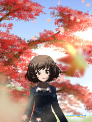 Rule 34 | 1girl, akiyama yukari, artist name, autumn, autumn leaves, blue jacket, blue sky, blurry, blush, brown eyes, brown hair, commentary request, dated, day, depth of field, falling leaves, girls und panzer, green shirt, highres, jacket, leaf, looking at viewer, messy hair, naotosi, ooarai military uniform, outdoors, shirt, short hair, sky, smile, solo, straight-on, tree, upper body