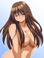 Rule 34 | 00s, 1girl, blush, breasts, brown eyes, brown hair, convenient censoring, eyes visible through hair, frown, gradient background, hair censor, hair over breasts, highres, ichigo 100 percent, inabakun00, kitaooji satsuki, large breasts, long hair, looking at viewer, matching hair/eyes, nude, solo, standing, tears