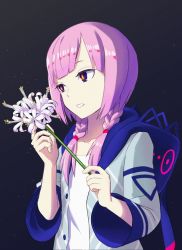 Rule 34 | 1girl, braid, commentary request, flower, highres, holding, holding flower, hood, hood down, hooded jacket, jacket, kaf (kamitsubaki studio), kamitsubaki studio, long hair, low twin braids, multicolored eyes, night, night sky, open clothes, open jacket, parted lips, pink hair, sky, solo, spider lily, star (sky), twin braids, upper body, virtual youtuber, white flower, white spider lily, yellow pupils, zilaishui