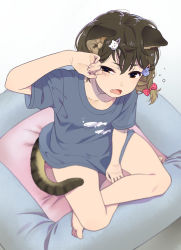 Rule 34 | 1girl, animal ears, animal print, arm up, bare legs, barefoot, blush, bow, brown eyes, brown hair, cat ears, cat girl, cat hair ornament, cat tail, crossed legs, fang, fingernails, fish hair ornament, fish print, from above, grey shirt, hair between eyes, hair bow, hair ornament, hairclip, half-closed eye, mattaku mousuke, open mouth, original, pet bed, polka dot, polka dot bow, print shirt, red bow, shirt, short sleeves, sitting, sleepy, solo, striped tail, t-shirt, tail, waking up