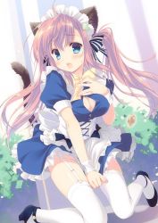 Rule 34 | 1girl, animal ears, blue eyes, blush, bow, breasts, cat ears, cat tail, character request, cleavage, commentary request, copyright request, frills, garter straps, hair ornament, heart, heart hair ornament, long hair, looking at viewer, maid, maid headdress, medium breasts, moe2015, no panties, pink hair, popped button, santa matsuri, solo, sweatdrop, tail, thighhighs, twintails, wardrobe malfunction, white thighhighs