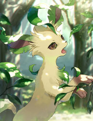 Rule 34 | blurry, blurry background, creatures (company), day, depth of field, forest, from side, game freak, gen 4 pokemon, highres, kaminokefusa, leaf, leafeon, nature, nintendo, no humans, open mouth, outdoors, pokemon, pokemon (creature), solo, tree, upper body