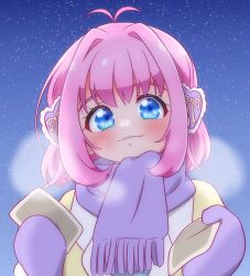 Rule 34 | 1girl, amauri miruki, antenna hair, blue eyes, blush, breath, chii (chi pppuri), closed mouth, commentary request, hair intakes, hair ornament, heart, heart hair ornament, highres, holding, incoming gift, long sleeves, looking at viewer, mittens, night, night sky, outdoors, pink hair, pretty series, purple mittens, purple scarf, scarf, short hair, sky, smile, solo, star (sky), starry sky, upper body, waccha primagi!, winter clothes