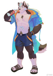 Rule 34 | 1boy, abs, animal ears, bara, bare pectorals, blue hair, blue shorts, bottle, bulge, chest hair, dog boy, dog ears, dog tail, fang, frde, full body, furry, furry male, highres, holding, holding bottle, hood, hood down, jacket, large pectorals, looking at viewer, male focus, multicolored hair, muscular, muscular male, navel, navel hair, nipples, open clothes, open jacket, original, pectorals, sandals, short hair, shorts, smile, solo, stomach, stomach tattoo, streaked hair, tail, tattoo, thick eyebrows, watch, wristwatch