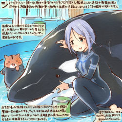 Rule 34 | 1girl, admiral (kancolle), animal, barefoot, blue eyes, braid, bucket, commentary request, dated, hamster, kantai collection, kirisawa juuzou, long hair, non-human admiral (kancolle), one-piece swimsuit, orca, revision, silver hair, single braid, smile, swimsuit, traditional media, translation request, twitter username, umikaze (kancolle), very long hair