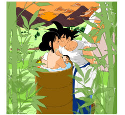 Rule 34 | bathtub, black hair, chi-chi (dragon ball), cloud, cloudy sky, couple, dragon ball, father and son, grass, husband and wife, kiss, mother and son, muscular, muscular male, sky, son gohan, son goku, sunset, tagme, tree