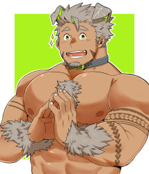 Rule 34 | 1boy, abs, animal collar, animal ears, bara, blush, body fur, butler, chest hair, collar, dog boy, dog ears, facial hair, fingers together, goatee, gomeisa (live a hero), green eyes, grey hair, highres, large pectorals, live a hero, long sideburns, looking at viewer, male focus, muscular, nipples, nude, pectorals, ratontheraccoon, short hair, sideburns, smile, solo, sparkle, tattoo, tribal tattoo, upper body
