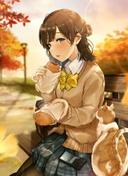 Rule 34 | 1girl, animal, autumn, autumn leaves, bag, black hair, black pantyhose, blurry, blurry background, bow, brown cardigan, brown eyes, cardigan, cat, collared shirt, commentary request, depth of field, food, grey skirt, hair bun, hair ornament, hairclip, highres, hisao 0111, holding, holding food, lamppost, on bench, original, outdoors, pantyhose, plaid, plaid bow, plaid skirt, pleated skirt, school bag, school uniform, shirt, single hair bun, sitting, skirt, solo, sunset, taiyaki, wagashi, white shirt, x hair ornament, yellow bow