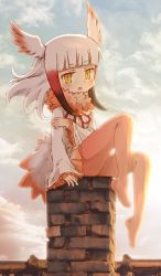 Rule 34 | 10s, 1girl, bird tail, bird wings, black hair, blush, chimney, commentary request, frilled sleeves, frills, fur collar, head wings, highres, holding own arm, japanese crested ibis (kemono friends), kemono friends, kolshica, long sleeves, multicolored hair, neck ribbon, no shoes, pantyhose, red hair, ribbon, short hair, sidelocks, sitting, sleeves past wrists, solo, tail, white hair, wings, yellow eyes