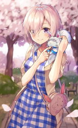 Rule 34 | 1girl, :&lt;, alternate costume, bad id, bad pixiv id, bag, bench, blue dress, blurry, blush, brown jacket, casual, checkered clothes, checkered dress, cherry blossoms, closed mouth, collarbone, cowboy shot, creature, creature on shoulder, day, depth of field, dress, closed eyes, fate/grand order, fate (series), fou (fate), hair over one eye, handbag, headpat, highres, huwari (dnwls3010), jacket, looking at viewer, mash kyrielight, mash kyrielight (senpai killer outfit), official alternate costume, on shoulder, open clothes, open jacket, outdoors, park, park bench, path, petals, pink hair, purple eyes, road, short hair, short sleeves, shoulder bag, smile, standing, tree