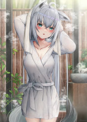 Rule 34 | 1girl, absurdres, ahoge, animal ear fluff, animal ears, arms up, bathrobe, blush, breasts, bright pupils, cleavage, collarbone, cowboy shot, drying, drying hair, fox ears, fox girl, fox tail, green eyes, grey hair, highres, hololive, large breasts, long hair, long sleeves, looking at viewer, open mouth, plant, rimamo, shirakami fubuki, solo, steam, tail, very long hair, virtual youtuber