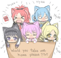 Rule 34 | &gt; &lt;, 10s, 5girls, :&lt;, = =, akemi homura, animal ears, arms up, bad id, bad pixiv id, black hair, blonde hair, blue hair, blush, bow, box, cardboard box, cat ears, cat tail, closed eyes, crying, drill hair, english text, fang, food, for adoption, greenteaneko, hair bow, hairband, highres, in box, in container, kaname madoka, kemonomimi mode, looking at viewer, magical girl, mahou shoujo madoka magica, mahou shoujo madoka magica (anime), miki sayaka, multiple girls, nyan, o o, open mouth, pink hair, pocky, purple eyes, red hair, sakura kyoko, sketch, tail, tears, tomoe mami, twin drills, twintails, wavy mouth, yellow eyes