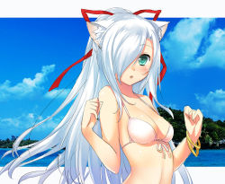 Rule 34 | 1girl, 47agdragon, :o, animal ears, arched back, beach, bikini, bikini top only, bracelet, breasts, cat ears, day, green eyes, hair over one eye, hands up, jewelry, long hair, looking at viewer, medium breasts, open mouth, original, outdoors, photo (medium), photo background, ponytail, sidelocks, sketch, solo, swimsuit, upper body, very long hair, white bikini, white hair