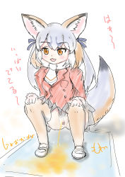 Rule 34 | 1girl, :3, absurdres, animal ears, blush, breasts, brown eyes, brown hair, brown thighhighs, fox ears, fox girl, fox tail, gray fox (kemono friends), hair ribbon, hands on own knees, highres, hinoto (pixiv48761170), jacket, kemono friends, long hair, long sleeves, medium breasts, multicolored hair, no panties, open mouth, peeing, pubic hair, puddle, pussy, red jacket, ribbon, scarf, shoes, silver hair, smile, squatting, tail, thighhighs, two-tone hair, uncensored, white footwear, white scarf