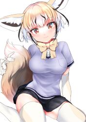 Rule 34 | 1girl, animal ear fluff, animal ears, arm at side, black hair, blonde hair, bow, bowtie, breast pocket, breasts, brown eyes, closed mouth, elbow gloves, extra ears, fox ears, fox girl, fox tail, fur trim, gloves, hand up, head tilt, highres, kemono friends, kinou no shika, light smile, medium breasts, microskirt, multicolored hair, pocket, rueppell&#039;s fox (kemono friends), shirt, short hair, short sleeves, simple background, sitting, skirt, solo, tail, taut clothes, taut shirt, thighhighs, white background, white hair, yellow bow, yellow bowtie, zettai ryouiki
