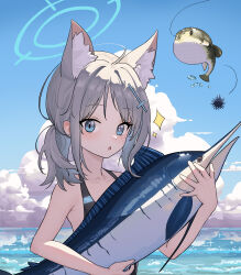 Rule 34 | 1girl, :o, absurdres, ahoge, animal, animal ear fluff, animal ears, blue archive, blue eyes, blue halo, blue sky, blush, chinese commentary, cloud, collarbone, commentary request, cross hair ornament, cumulonimbus cloud, day, earrings, fish, grey hair, hair ornament, halo, halterneck, highres, holding, holding animal, holding fish, jewelry, kulomi, long hair, looking at viewer, mismatched pupils, ocean, official alternate costume, open mouth, outdoors, ponytail, puffer fish, shiroko (blue archive), shiroko (swimsuit) (blue archive), short ponytail, sky, slit pupils, solo, stud earrings, upper body, wolf ears