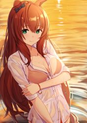 Rule 34 | 1girl, animal ears, bikini, bikini under clothes, blush, bow, bracelet, breasts, brown hair, cleavage, closed mouth, collarbone, ear bow, green eyes, highres, holding own arm, horse ears, horse girl, jewelry, long hair, looking at viewer, magata001, maruzensky (umamusume), medium breasts, partially submerged, red bikini, ripples, see-through, see-through shirt, shirt, sleeves rolled up, smile, solo, swimsuit, umamusume, upper body, water, wet, wet clothes, wet shirt, white shirt