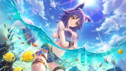 Rule 34 | 1girl, animal ears, beach, bikini, blue sky, blush, bracelet, breasts, cloud, coral, crop top, day, fish, gluteal fold, jewelry, large breasts, layered bikini, lens flare, light rays, long hair, looking at viewer, makoto (princess connect!), makoto (summer) (princess connect!), navel, ocean, official art, outdoors, partially submerged, partially underwater shot, princess connect!, purple hair, shirt, sky, solo, split mouth, standing, submerged, sun, sunbeam, sunlight, swimsuit, tail, thigh strap, underwater, wading, water, wavy mouth, wet, wet clothes, wet shirt, wolf ears, wolf girl, wolf tail, yellow eyes