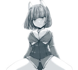 Rule 34 | 1girl, animal ears, blush, brave witches, breasts, cleavage, closed mouth, greyscale, gundula rall, large breasts, liar lawyer, looking at viewer, military uniform, monochrome, panties, short hair, solo, spread legs, underwear, uniform, wolf ears, world witches series