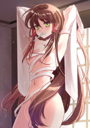 Rule 34 | 1girl, absurdres, alternate eye color, armpits, arms up, breasts, brown hair, budget sarashi, convenient censoring, detached sleeves, green eyes, hair censor, hair tubes, hakurei reimu, highres, light particles, long hair, long sleeves, mouth hold, navel, nude, sarashi, solo, touhou, very long hair, vioro, wide sleeves
