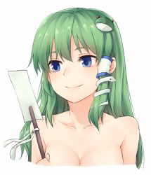 Rule 34 | 1girl, blue eyes, blush, breasts, collarbone, commentary request, cropped shoulders, frog hair ornament, green hair, hair ornament, hair tubes, highres, holding, kochiya sanae, long hair, medium breasts, miyo (ranthath), nude, sidelocks, simple background, smile, snake hair ornament, solo, touhou, upper body, white background