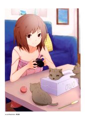 Rule 34 | 1girl, absurdres, ball, bare shoulders, blurry, brown eyes, brown hair, camera, camisole, cat, cat teaser, catnip, couch, depth of field, highres, kitten, meme, nishiuri warito, non-web source, one side up, original, owo, scan, sitting, smile, solo, strap slip, tissue, tissue box