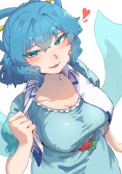 Rule 34 | 1girl, blue dress, blue eyes, blue hair, blush, breasts, commentary, dress, hair rings, highres, kaku seiga, large breasts, looking at viewer, open mouth, shawl, short sleeves, simple background, sobayu to tenpura, solo, touhou, vest, white background, white vest