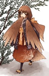 Rule 34 | 1girl, absurdres, bird tail, bird wings, blush, branch, brown eyes, brown hair, claws, commentary request, covering own mouth, female focus, full body, hakama, hakama skirt, harpy, harpy (puyopuyo), highres, japanese clothes, kaginoni, kimono, long hair, looking at viewer, low ponytail, monster girl, obi, original, ponytail, red hakama, sash, skirt, solo, standing, stirrup legwear, tail, toeless legwear, tree, walking, winged arms, wings