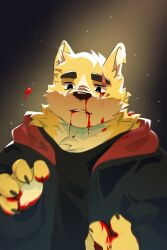 Rule 34 | 1boy, black jacket, blood, cooper krager, dog, furry, furry male, highres, jacket, light beam, light particles, male focus, nosebleed, ponshanchamu, remember the flowers, scar, scar across eye, scar on face, solo, yellow fur