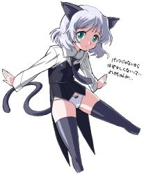 Rule 34 | 1girl, animal ears, bad id, bad pixiv id, green eyes, kotomozou, panties, sanya v. litvyak, solo, strike witches, tail, thighhighs, translation request, underwear, white hair, white panties, world witches series