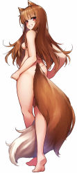 Rule 34 | 1girl, absurdres, animal ear fluff, animal ears, ass, barefoot, between legs, blunt bangs, breasts, brown hair, completely nude, from behind, full body, highres, holo, long hair, looking at viewer, looking back, marutenmaruten, medium breasts, nude, parted lips, red eyes, simple background, smile, solo, spice and wolf, standing, tachi-e, tail, tail between legs, tail censor, thighs, tiptoes, white background, wolf ears, wolf girl, wolf tail