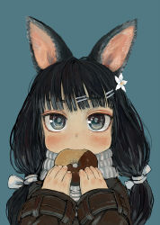 Rule 34 | 1girl, animal ears, black hair, blue background, blue eyes, blunt bangs, dog ears, doughnut, eating, ebimomo, flower, flower on head, food, hair flower, hair ornament, jitome, kemonomimi mode, looking at viewer, low twintails, original, scarf, simple background, solo, twintails