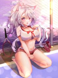 Rule 34 | absurdres, alternate costume, animal ears, azur lane, ball, barefoot, bloomers, bra visible through clothes, breasts, chain-link fence, cleavage, crop top, dog ears, dog tail, embarrassed, fang, fence, grey hair, heart, heart-shaped pupils, highres, large breasts, long hair, loob, midriff, nail polish, racket, red eyes, red ribbon, ribbon, see-through, seiza, shoes, unworn shoes, sitting, sweat, symbol-shaped pupils, tail, tennis ball, tennis court, tennis racket, underboob, underwear, yuudachi (azur lane)