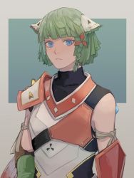 Rule 34 | 1other, animal ears, armor, asymmetrical armor, blue eyes, braid, cat ears, closed mouth, expressionless, green hair, juniper (xenoblade), kabeuchimain, looking at viewer, other focus, shoulder armor, sleeveless, upper body, xenoblade chronicles (series), xenoblade chronicles 3