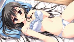 Rule 34 | 1girl, akiyoshi fuyuka, black eyes, black hair, blue bra, blue panties, blush, bow, bow bra, bow panties, bra, breasts, frilled bra, frills, futon, game cg, hair ornament, hand on own chest, highres, kanojo no seiiki, light frown, long hair, looking at viewer, lying, medium breasts, on back, on bed, on floor, panties, parted lips, pillow, ryouka (suzuya), solo, strap slip, underwear, underwear only, wooden floor