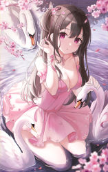 Rule 34 | 1girl, absurdres, bird, blurry, breasts, brown hair, butterfly hair ornament, cherry blossoms, cleavage, collarbone, commentary, depth of field, english commentary, hair ornament, hairclip, highres, kneeling, lingerie, looking at viewer, medium breasts, negligee, original, outdoors, parted lips, partially submerged, petals, petting, pink negligee, pink ribbon, pora 0918, red eyes, ribbon, solo, swan, underwear, water, wet