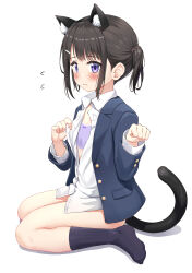 Rule 34 | 1girl, absurdres, animal ear fluff, animal ears, black hair, black socks, blue jacket, blush, bow, bow bra, bra, cat ears, cat girl, cat tail, closed mouth, collared shirt, commentary request, dress shirt, flying sweatdrops, full body, hair ornament, hairclip, hands up, highres, jacket, long sleeves, nedia (nedia region), no pants, no shoes, open clothes, open jacket, original, purple bra, purple eyes, ribbed legwear, shadow, shirt, short twintails, sidelocks, simple background, sitting, socks, solo, tail, twintails, underwear, wariza, wavy mouth, white background, white shirt