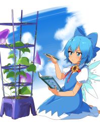 Rule 34 | 1girl, blue bow, blue dress, blue eyes, blue hair, blush, book, bow, cirno, dark-skinned female, dark skin, day, dress, flower, flower pot, hair bow, highres, ice, ice wings, ksk (semicha keisuke), o3o, pencil, plant, puffy short sleeves, puffy sleeves, red ribbon, ribbon, seiza, shirt, short hair, short sleeves, simple background, sitting, solo, sunflower, tan, tanned cirno, touhou, v-shaped eyebrows, white shirt, wings