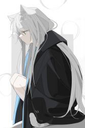 Rule 34 | 1girl, absurdres, animal ear fluff, animal ears, arknights, black jacket, cat ears, cat girl, cat tail, closed mouth, full body, green eyes, grey background, grey hair, hair between eyes, highres, jacket, knees up, lihuashuangxiang, long hair, looking away, open clothes, open jacket, profile, rosmontis (arknights), solo, squatting, tail, two-tone background, very long hair, white background