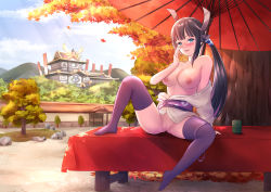 Rule 34 | 1girl, absurdres, ass, bench, blue eyes, blush, breasts, brown hair, castle, cleft of venus, creatures (company), crossed legs, cup, falling leaves, game freak, hair ornament, hand on own face, heroine (pokemon conquest), highres, japanese clothes, kimono, large breasts, leaf, leg lift, legs, legs up, long hair, looking at viewer, multicolored hair, nintendo, nipples, open clothes, open kimono, panties, panties around leg, pokemon, pokemon conquest, ponytail, purple panties, purple thighhighs, pussy, red umbrella, sebu illust, sengoku musou, smile, solo focus, spread legs, sunlight, teacup, thighhighs, thighs, tree, umbrella, underwear, very long hair