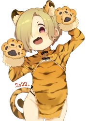 Rule 34 | 1girl, 2022, animal ears, animal hands, animal print, china dress, chinese clothes, chinese zodiac, dated, dress, ear piercing, fake animal ears, gloves, hair over one eye, hands up, idolmaster, idolmaster cinderella girls, long sleeves, looking at viewer, new year, open mouth, paw gloves, paw pose, pelvic curtain, piercing, red eyes, shirasaka koume, short dress, short hair, side slit, simple background, solo, standing, takato kurosuke, teeth, tiger ears, tiger print, white background, year of the tiger, yellow dress