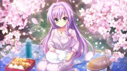 Rule 34 | 1girl, ahoge, animal, animal on lap, bento, blanket, blurry, blurry foreground, bow, breasts, cat, cat on lap, cherry blossoms, cherry tomato, closed mouth, cup, dot nose, dress, film grain, food request, game cg, grass, green eyes, hair bow, hair ribbon, hairband, hanami, hokaze kanade, izumi tsubasu, lens flare, long hair, long sleeves, looking at viewer, medium breasts, night, no shoes, non-web source, official art, on ground, on lap, outdoors, petting, picnic, picnic basket, purple bow, purple dress, purple hair, purple hairband, purple ribbon, re:stage!, ribbon, seiza, sitting, smile, socks, solo, sparkle, thermos, tomato, tree, white cat, white socks